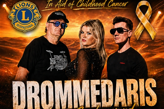 Childhood Cancer  Music Concert